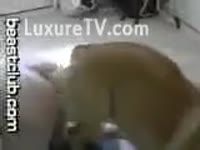 [ Beast Sex DVD ] Dog copulates hawt bitch from behind his back